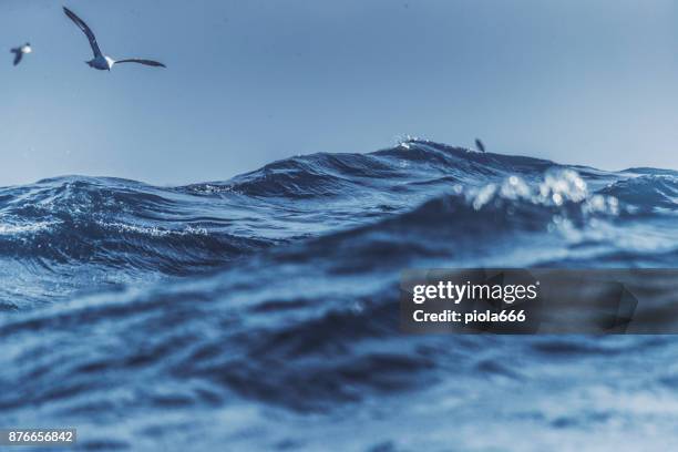 meeuwen en blauwe ruwe zee - fishing boat stockfoto's en -beelden