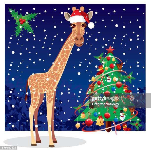 giraffe and winter - pine tree close up stock illustrations