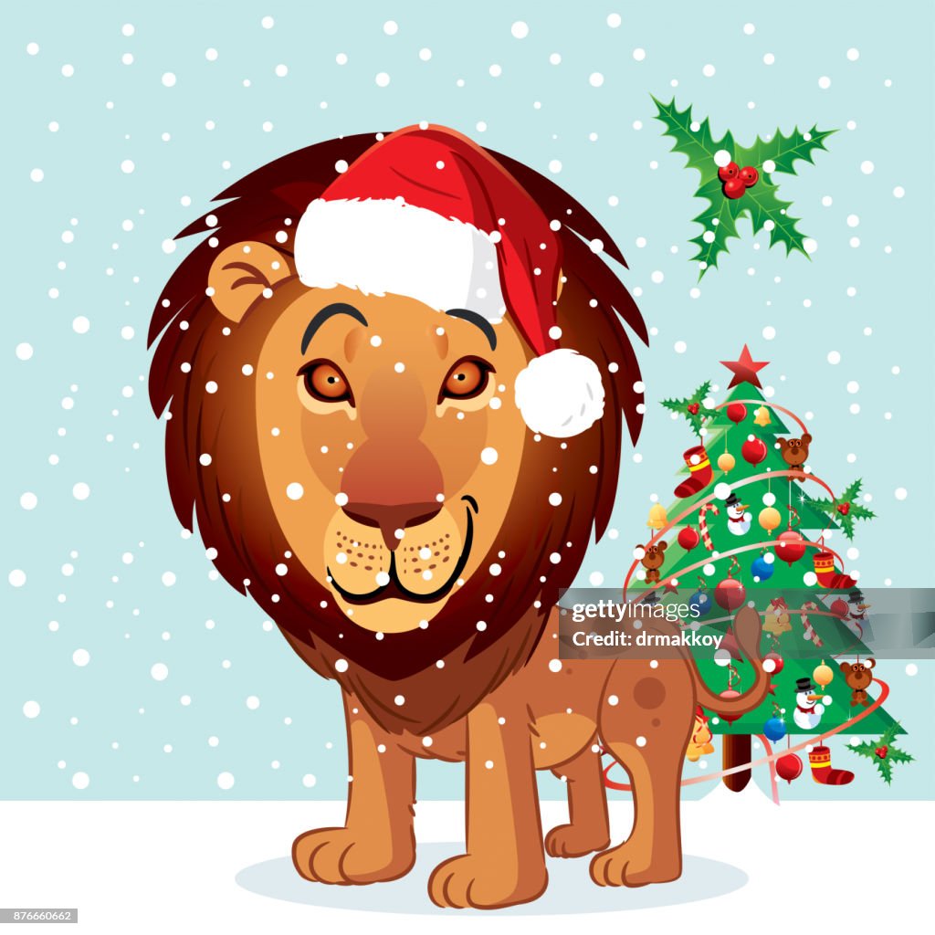 Lion and winter