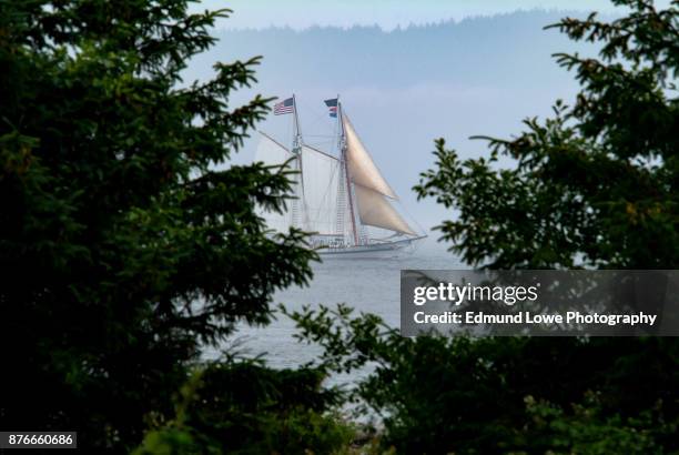 tall ship sailing the salish sea. - boating puget sound stock pictures, royalty-free photos & images