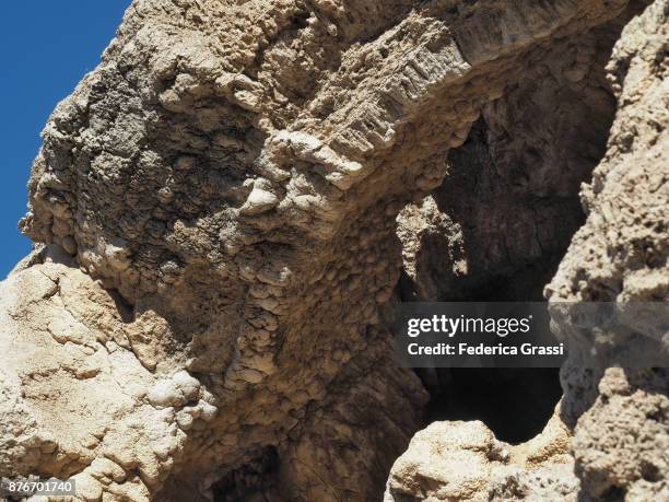 Carbote Rocks 555 Sedimentary Carbonate Rock Stock Photos, High-Res Pictures, and ...