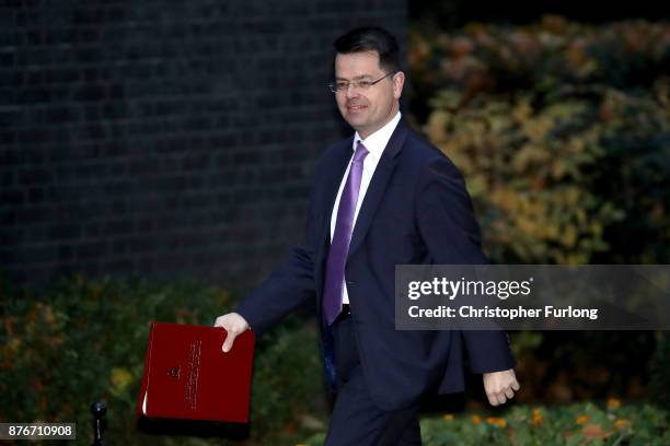 Northern Ireland Secretary James Brokenshire arrives at Downing Street for the Inner Brexit Cabinet meeting on November 20, 2017 in London, England....