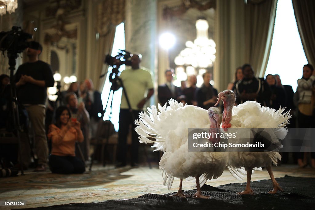 National Thanksgiving Turkey Meets The Press Ahead Of Presidential Pardoning