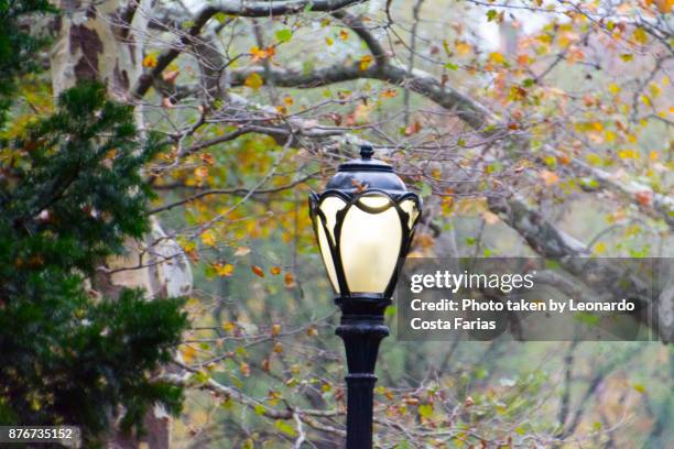 lamp post at central park - leonardo costa farias stock-fotos und bilder