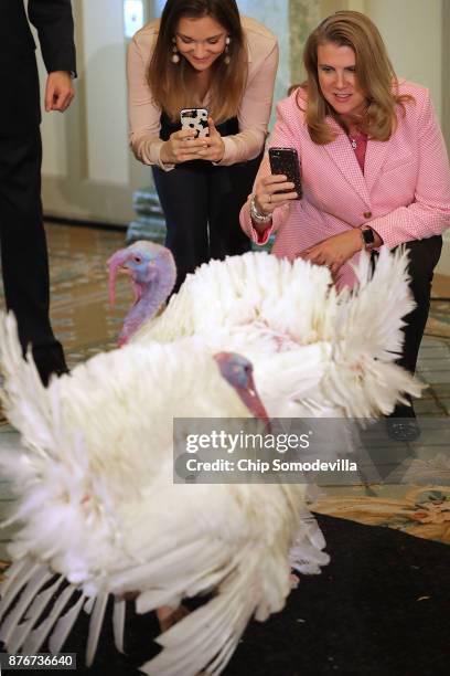 People make photographs of Drumstick and Wishbone, the National Thanksgiving Turkey and its alternate 'wingman,' during an event hosted by The...