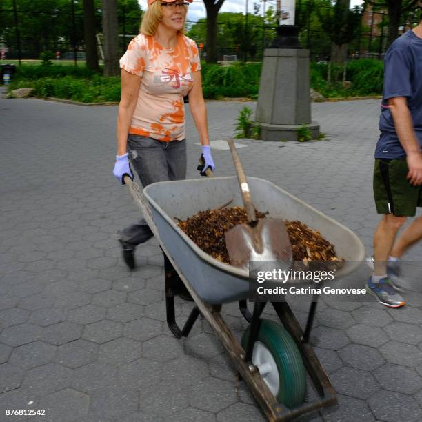 volunteer woman uses wheelbarrow to tend public gardenat the lower eastside ecology center's stewardship in east river park public volunteer event - new york summer press day ストックフォトと画像