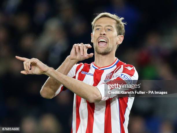 Stoke City's Peter Crouch comes on for his 143rd substitute appearance, a new Premier League record, during the Premier League match at the AMEX...