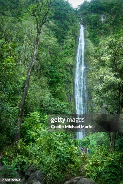 waimoku falls - haleakala national park - hawaiian waterfalls 個照片及圖片檔