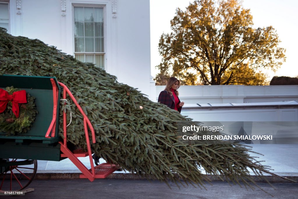 US-POLITICS-TRUMP-CHRISTMAS TREE