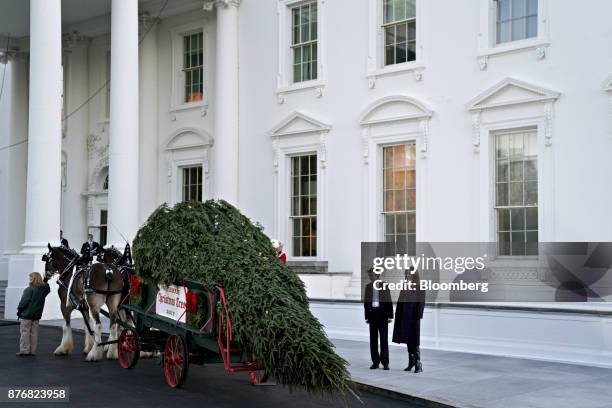 First Lady Melania Trump, right, and son Barron Trump view the White House Christmas Tree at the North Portico of the White House in Washington,...