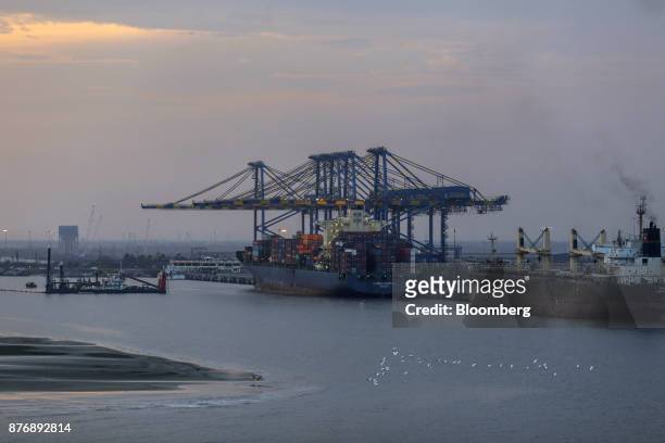 Container ships sit docked next to gantry cranes at Krishnapatnam Port in Krishnapatnam, Andhra Pradesh, India, on Monday, Aug. 11, 2017. Growth in...
