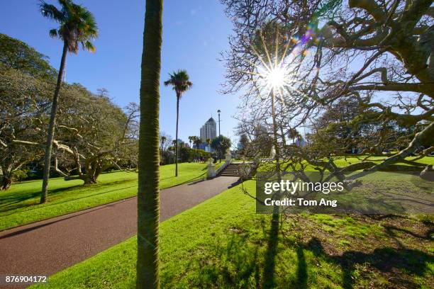 at the park - auckland light path stock pictures, royalty-free photos & images