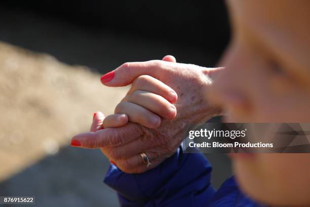 grandmother and grandson holding hands - petit fils photos et images de collection