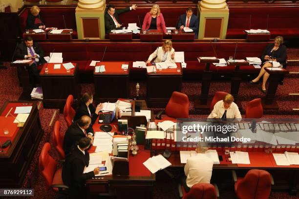 Inga Peulich MP questions Gavin Jennings MP on November 21, 2017 in Melbourne, Australia. Victoria's lower house passed the historic voluntary...