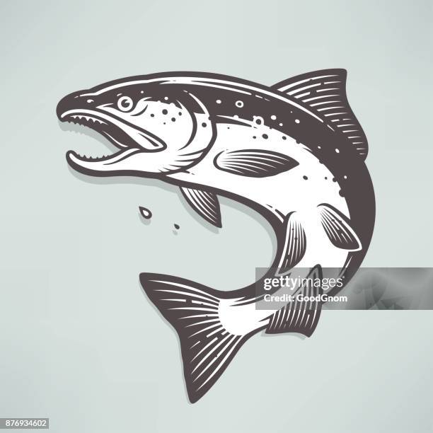 lachs - forelle stock-grafiken, -clipart, -cartoons und -symbole