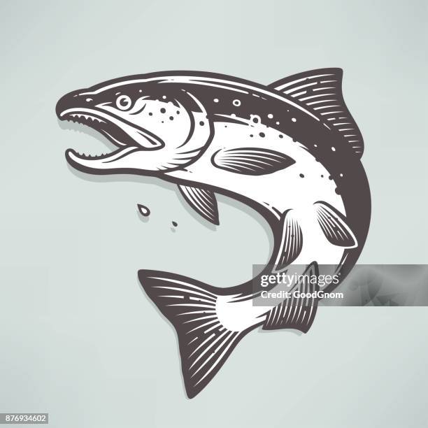 1 322点のサーモンイラスト素材 Getty Images 1 322点のサーモンイラスト素材 Getty Images
