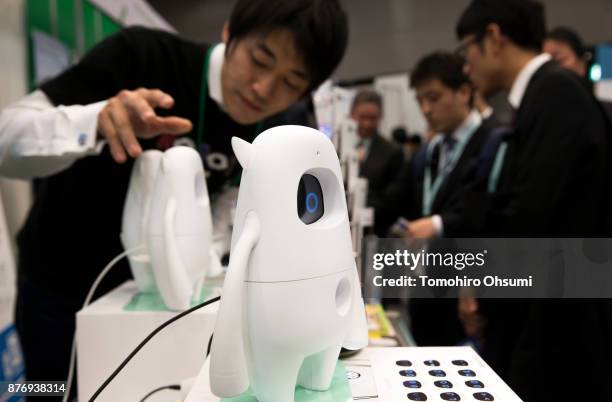Musio X robots are displayed during the SoftBank Robot World 2017 on November 21, 2017 in Tokyo, Japan. SoftBank showcases robots developed by their...