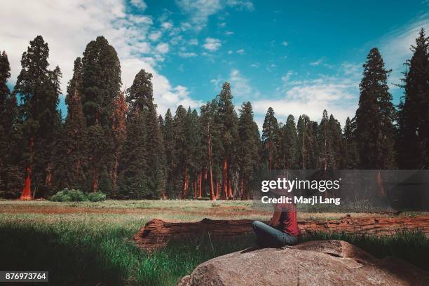 Woman sitting on a rock in the middle of a meadow in Sequoia National Park, California, USA.