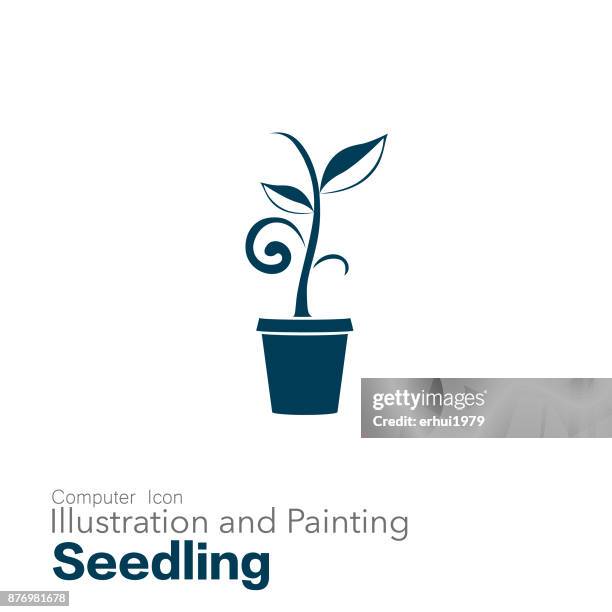 seedling - seed starting stock illustrations