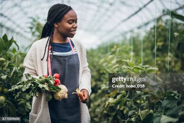 farmer woman holding fresh organic vegetables in her hands - black farmer stock pictures, royalty-free photos & images