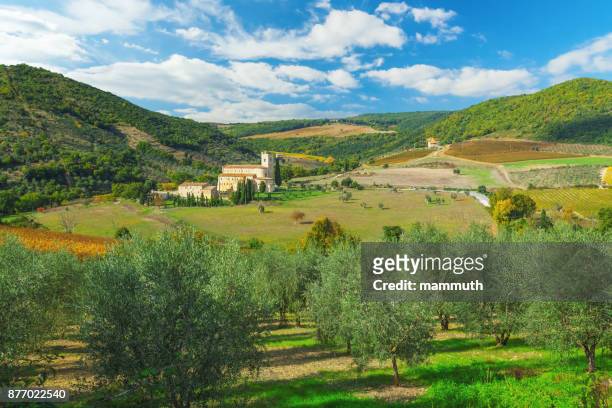 abdij van sant'antimo in toscane met olijfbomen op de voorgrond - abbey of montserrat stockfoto's en -beelden