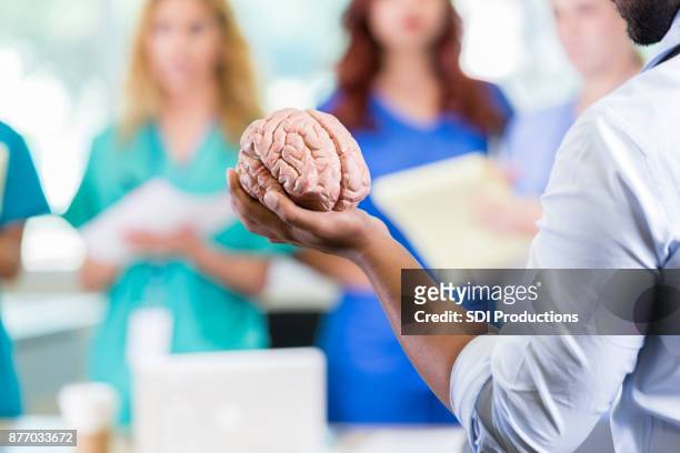 medische school professor leert over het menselijk brein - brain model stockfoto's en -beelden