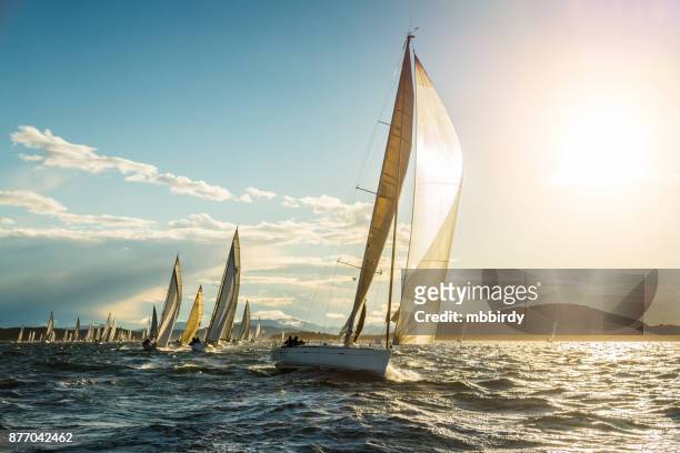 barca a vela in regata nella soleggiata mattina d'autunno - velista foto e immagini stock