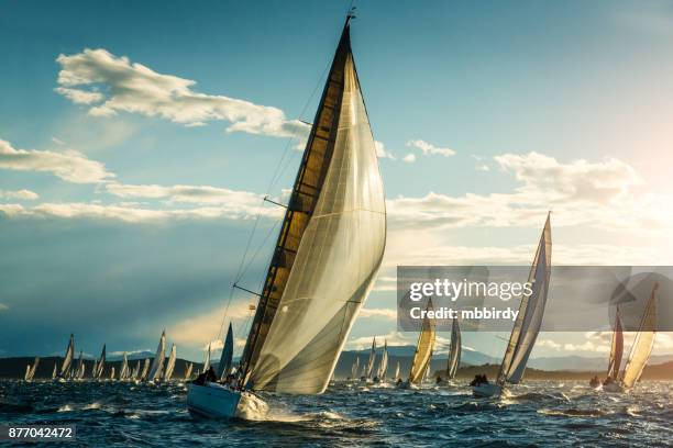sailboat on regatta on sunny autumn morning - sailboat stock pictures, royalty-free photos & images