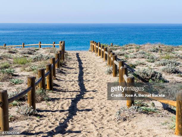 path of sand that he leads to the beach between dunes with flowers and grasses with posts of wood, a day of the sun and blue sky. las salinas beach, cabo de gata - nijar natural park,  almeria,  andalusia, spain - footsteps on a boardwalk bildbanksfoton och bilder