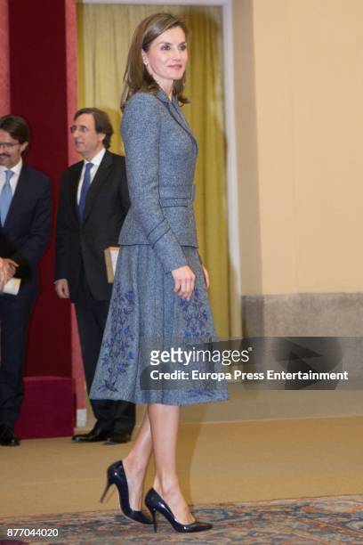 Queen Letizia of Spain attends Queen Letizia Disability Awards at Pardo Palace on November 21, 2017 in Madrid, Spain.