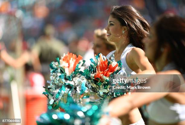 Miami Dolphins Cheerleaders in action during the game against the Tampa Bay Buccaneers at Hard Rock Stadium on November 19, 2017 in Miami Gardens,...