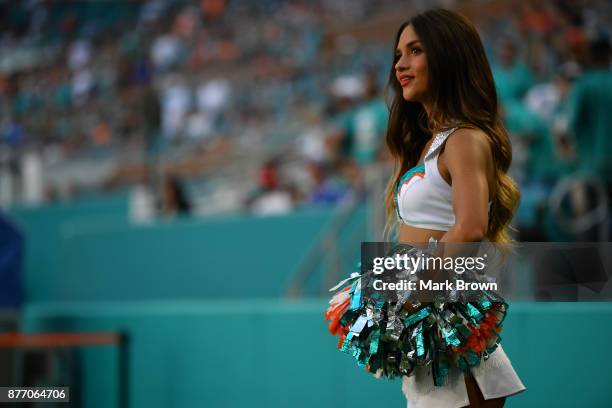 Miami Dolphins Cheerleaders in action during the game against the Tampa Bay Buccaneers at Hard Rock Stadium on November 19, 2017 in Miami Gardens,...