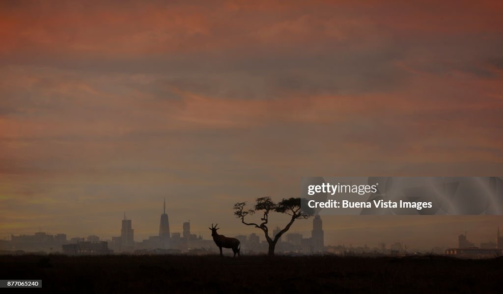 Topic silhouette against a modern city.