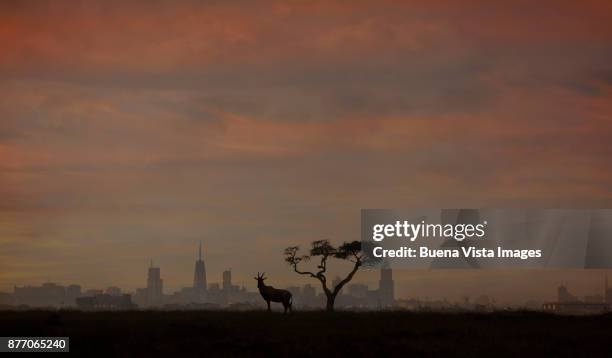 topic silhouette against a modern city. - nairobi city stock pictures, royalty-free photos & images