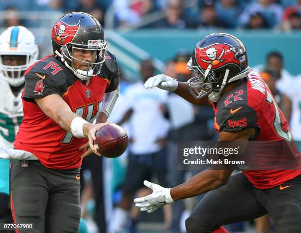 Ryan Fitzpatrick of the Tampa Bay Buccaneers hands off to Doug Martin during the third quarter against the Miami Dolphins at Hard Rock Stadium on...