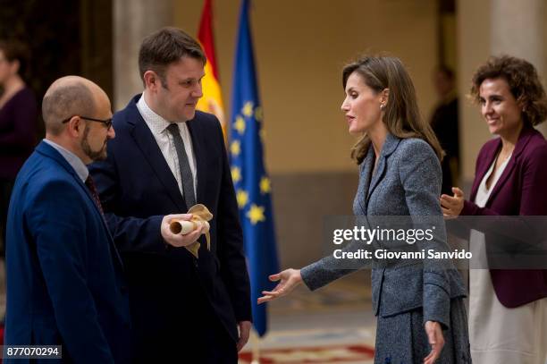 Queen Letizia of Spain attends 'Reina Letizia' awards at El Pardo Palace on November 21, 2017 in Madrid, Spain.