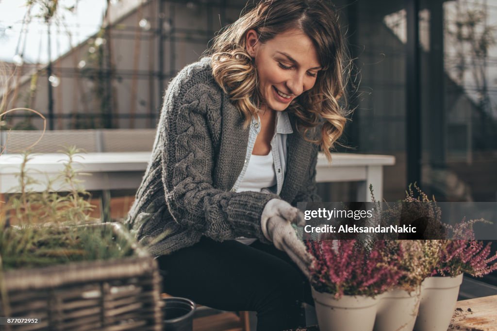 Nurturing my rooftop garden