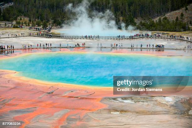 tourist line a boarwalk around grand prismatic hot springs - grand prismatic spring stock pictures, royalty-free photos & images