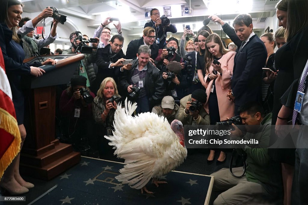 President Trump And First Lady Melania Hold National Thanksgiving Turkey Pardoning Ceremony