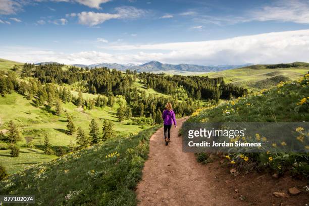 a woman enjoying a day hike on a summer day in montana - 蒙大拿州 個照片及圖片檔