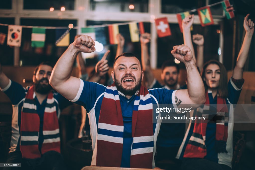 Fans watching a sports game