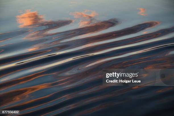 cloud reflection in wake of river cruise ship excellence katharina of reisebuero mittelthurgau (formerly ms general lavrinenkov) at sunset, volga river, russia - ondulado descrição física imagens e fotografias de stock