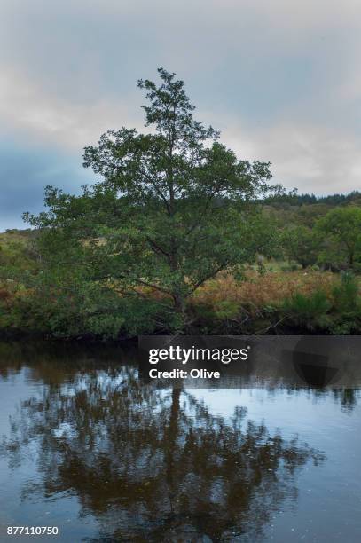 on the road to conor pass, dingle bay, - connor pass stock pictures, royalty-free photos & images