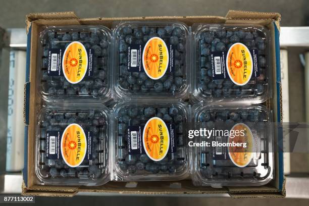 Containers of blueberries sit in a shipping box at the Berries del Plata facility in Zarate, Buenos Aires, Argentina, on Thursday, Nov. 9, 2017....