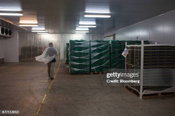 Worker passes in front of boxes of blueberries stacked on pallets at the Berries del Plata packing facility in Zarate, Buenos Aires, Argentina, on...