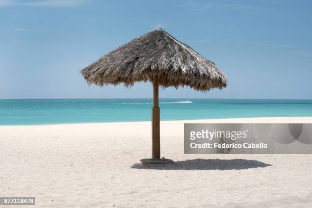 umbrella eagle beach. aruba - sombrilla de playa stockfoto's en -beelden