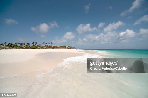 manchebo beach. aruba - aruba bildbanksfoton och bilder