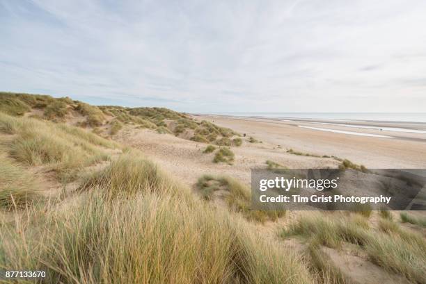 camber sands - camber sands ストックフォトと画像