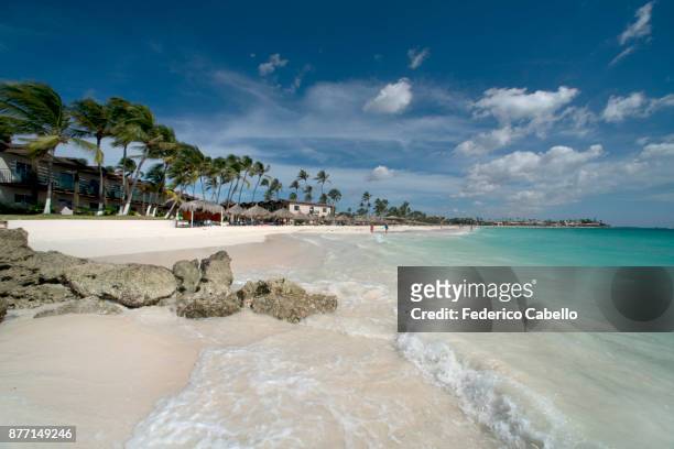 druif beach. aruba - aruba bildbanksfoton och bilder