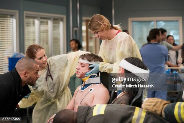 Who Lives, Who Dies, Who Tells Your Story" - After a roller coaster car falls off the track at the county fair, the doctors at Grey Sloan tend to...